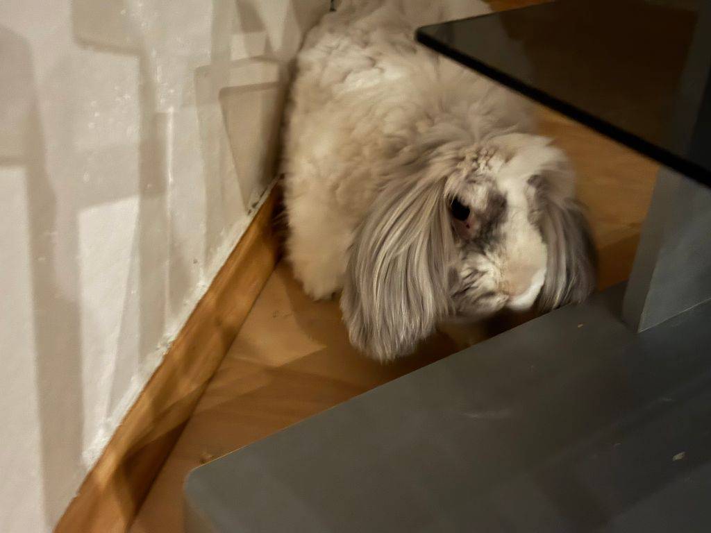 Audi A6 45TDI/2021/QUATTRO,1M,DPH-ZÁRU