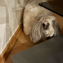 Audi A6 45TDI/2021/QUATTRO,1M,DPH-ZÁRU